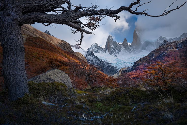 狂野巴塔 / Wild Patagonia