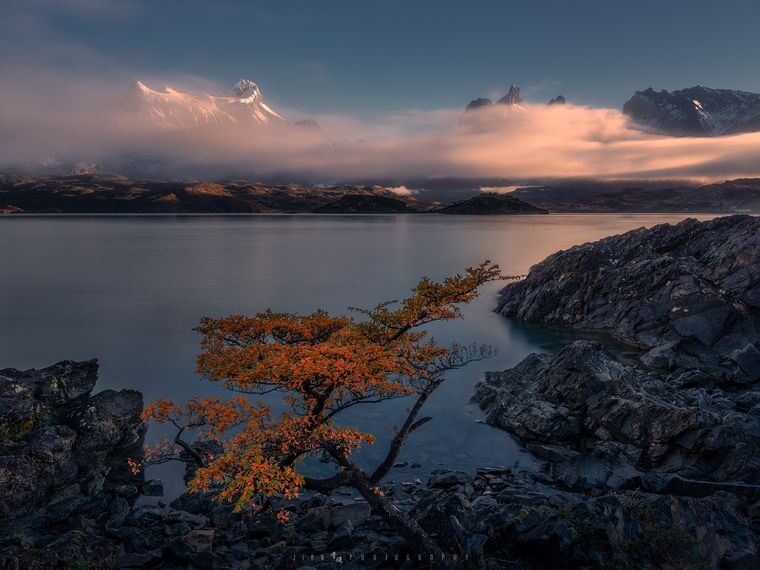 狂野巴塔 / Wild Patagonia