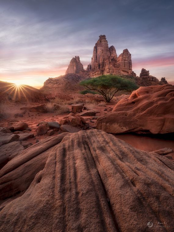 奇幻荒野 / A Desert Sanctuary