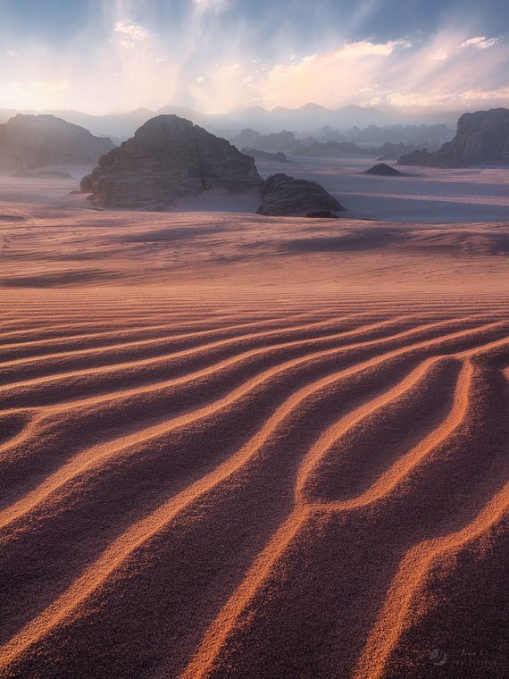 奇幻荒野 / A Desert Sanctuary