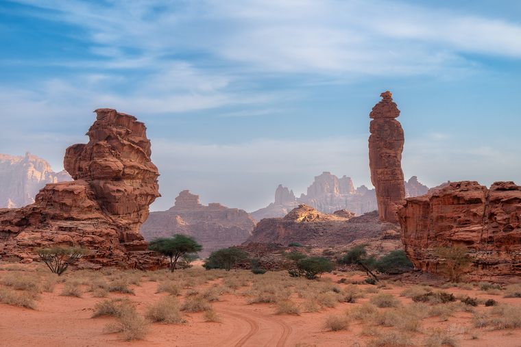 奇幻荒野 / A Desert Sanctuary