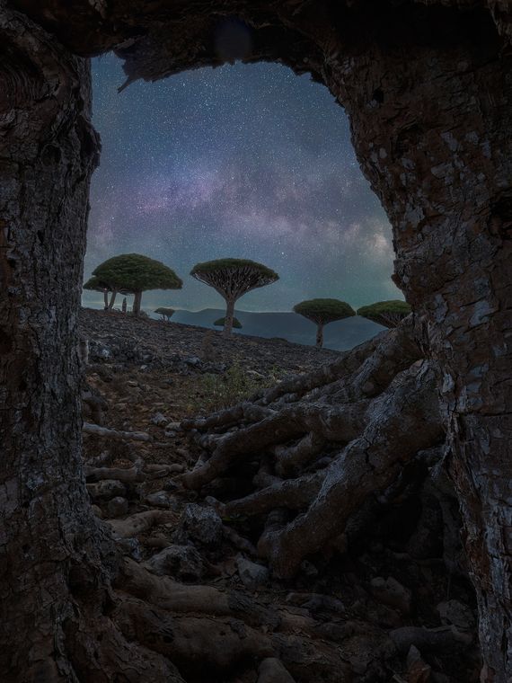 镜览天地 / The World in the Mirror