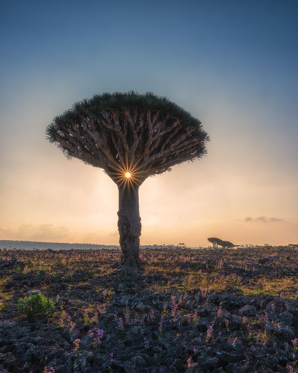 镜览天地 / The World in the Mirror
