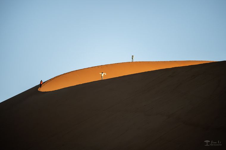 花海与红沙 / The Flower Sea & The Red Desert